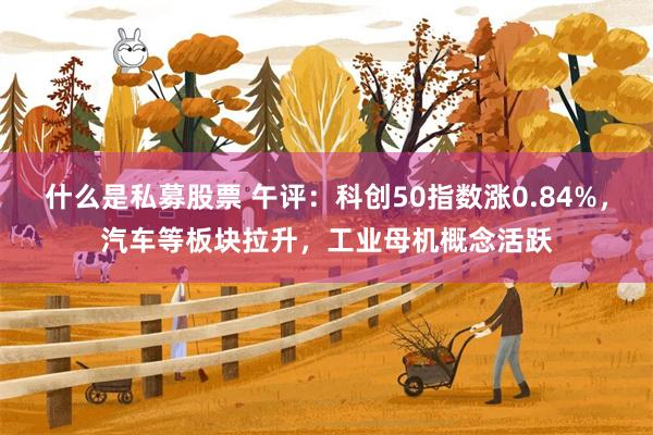 什么是私募股票 午评：科创50指数涨0.84%，汽车等板块拉升，工业母机概念活跃