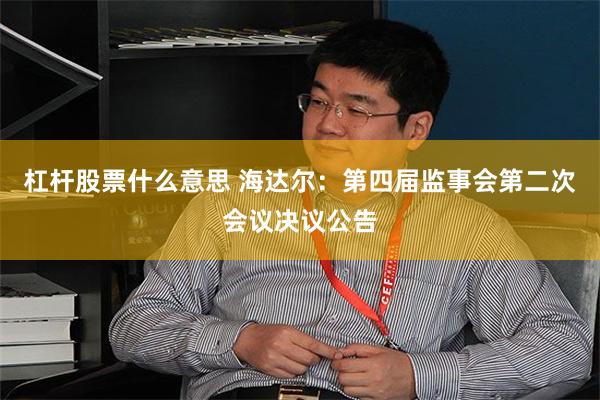 杠杆股票什么意思 海达尔：第四届监事会第二次会议决议公告