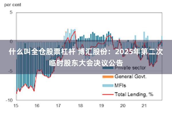 什么叫全仓股票杠杆 博汇股份：2025年第二次临时股东大会决议公告