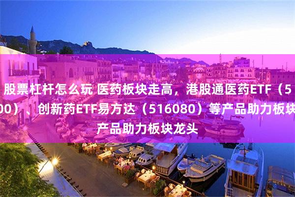 股票杠杆怎么玩 医药板块走高，港股通医药ETF（513200）、创新药ETF易方达（516080）等产品助力板块龙头