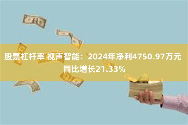 股票杠杆率 视声智能：2024年净利4750.97万元 同比增长21.33%