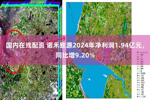 国内在线配资 诺禾致源2024年净利润1.94亿元，同比增9.20%