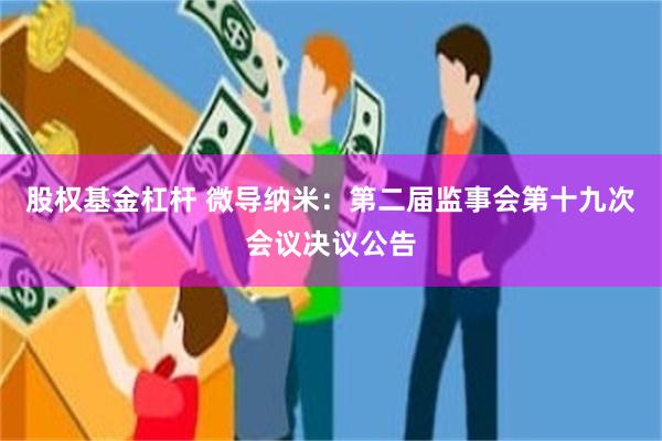 股权基金杠杆 微导纳米：第二届监事会第十九次会议决议公告