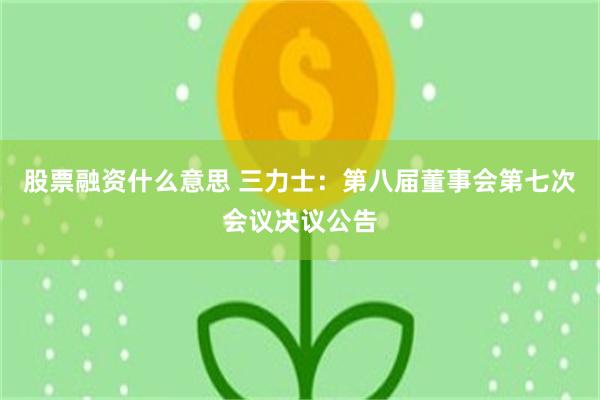 股票融资什么意思 三力士：第八届董事会第七次会议决议公告