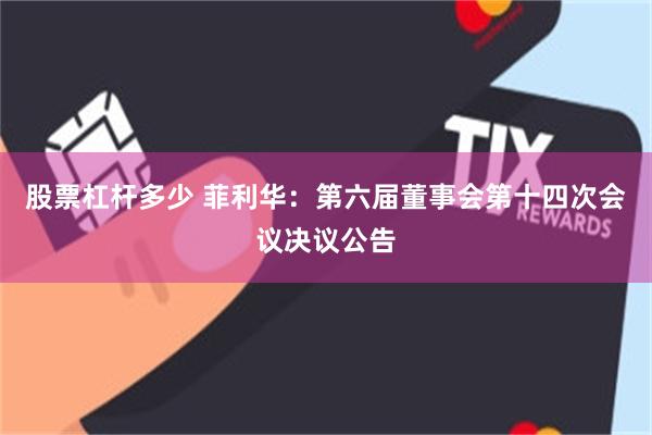 股票杠杆多少 菲利华：第六届董事会第十四次会议决议公告