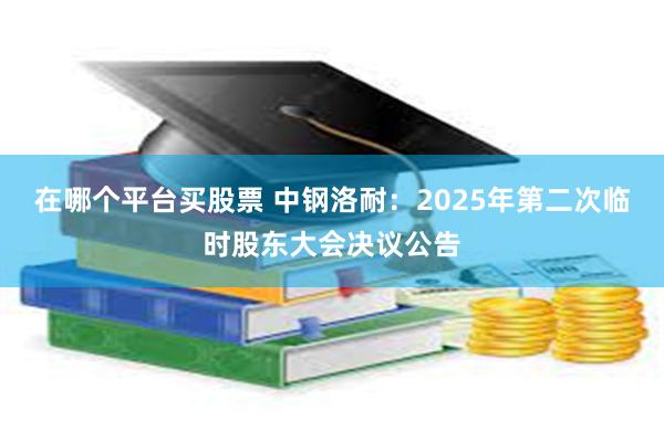 在哪个平台买股票 中钢洛耐：2025年第二次临时股东大会决议公告