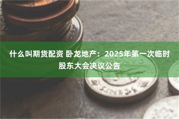 什么叫期货配资 卧龙地产：2025年第一次临时股东大会决议公告
