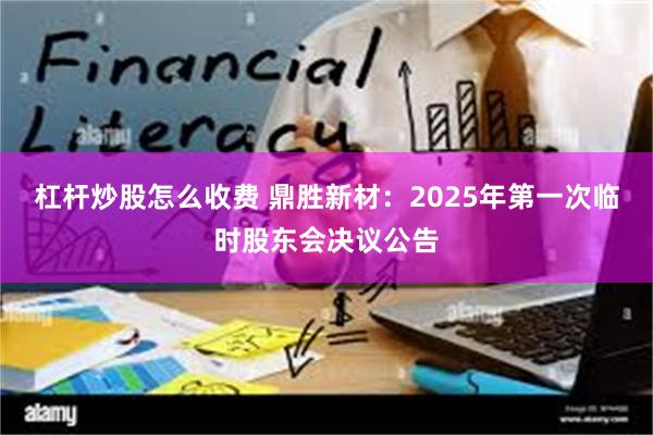 杠杆炒股怎么收费 鼎胜新材：2025年第一次临时股东会决议公告