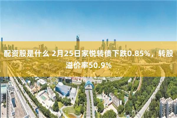 配资股是什么 2月25日家悦转债下跌0.85%，转股溢价率50.9%