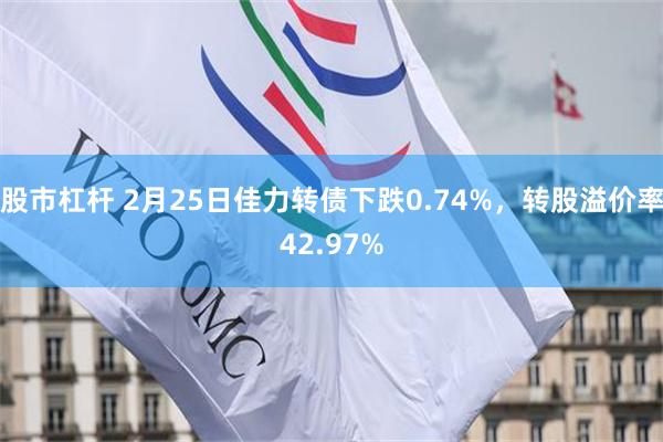 股市杠杆 2月25日佳力转债下跌0.74%，转股溢价率42.97%