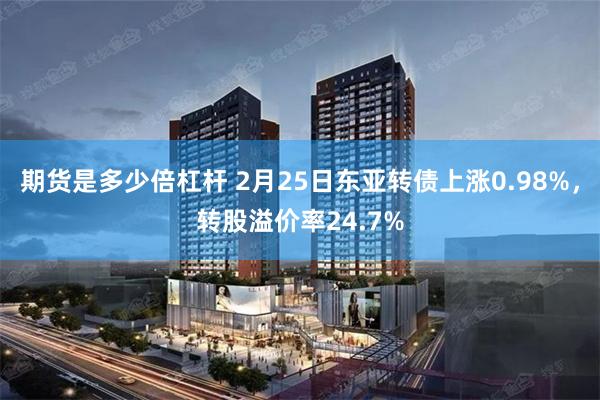 期货是多少倍杠杆 2月25日东亚转债上涨0.98%，转股溢价率24.7%