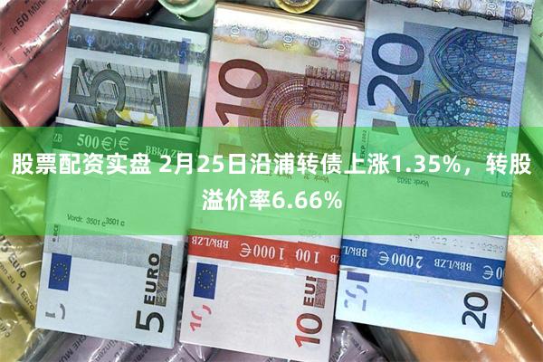 股票配资实盘 2月25日沿浦转债上涨1.35%，转股溢价率6.66%