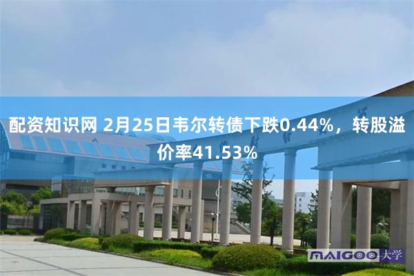 配资知识网 2月25日韦尔转债下跌0.44%，转股溢价率41.53%
