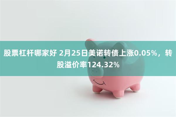 股票杠杆哪家好 2月25日美诺转债上涨0.05%，转股溢价率124.32%