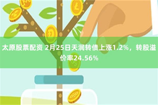 太原股票配资 2月25日天润转债上涨1.2%，转股溢价率24.56%