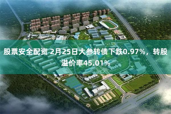 股票安全配资 2月25日大参转债下跌0.97%，转股溢价率45.01%