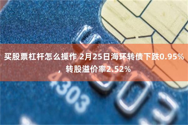 买股票杠杆怎么操作 2月25日海环转债下跌0.95%，转股溢价率2.52%