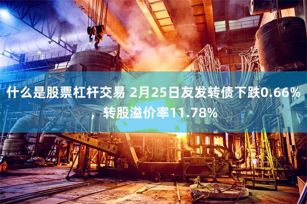 什么是股票杠杆交易 2月25日友发转债下跌0.66%，转股溢价率11.78%