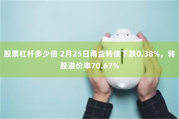 股票杠杆多少倍 2月25日甬金转债下跌0.38%，转股溢价率70.67%
