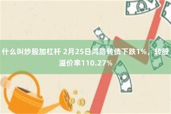 什么叫炒股加杠杆 2月25日鸿路转债下跌1%，转股溢价率110.27%