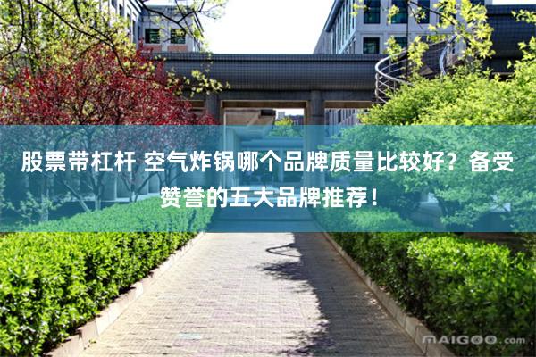 股票带杠杆 空气炸锅哪个品牌质量比较好？备受赞誉的五大品牌推荐！