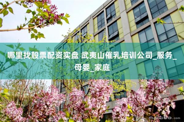 哪里找股票配资实盘 武夷山催乳培训公司_服务_母婴_家庭