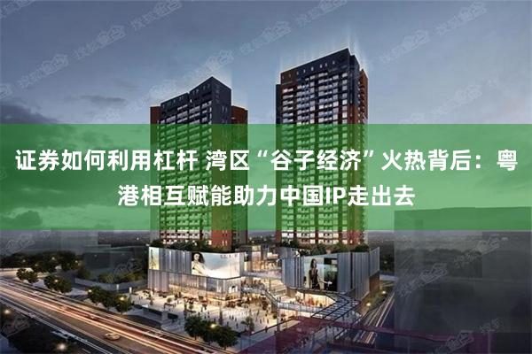 证券如何利用杠杆 湾区“谷子经济”火热背后：粤港相互赋能助力中国IP走出去