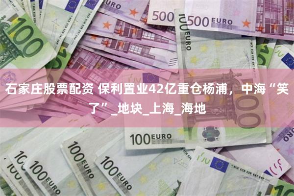 石家庄股票配资 保利置业42亿重仓杨浦，中海“笑了”_地块_上海_海地