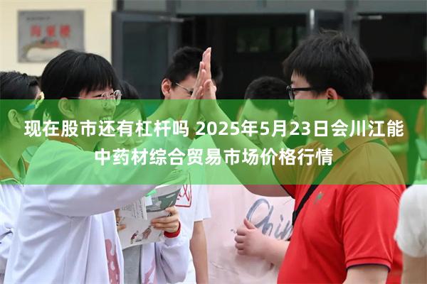 现在股市还有杠杆吗 2025年5月23日会川江能中药材综合贸易市场价格行情