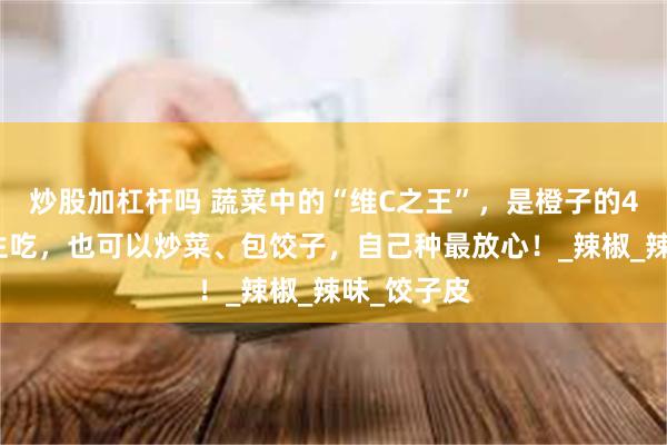 炒股加杠杆吗 蔬菜中的“维C之王”，是橙子的4倍，可以生吃，也可以炒菜、包饺子，自己种最放心！_辣椒_辣味_饺子皮