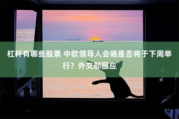 杠杆有哪些股票 中欧领导人会晤是否将于下周举行？外交部回应
