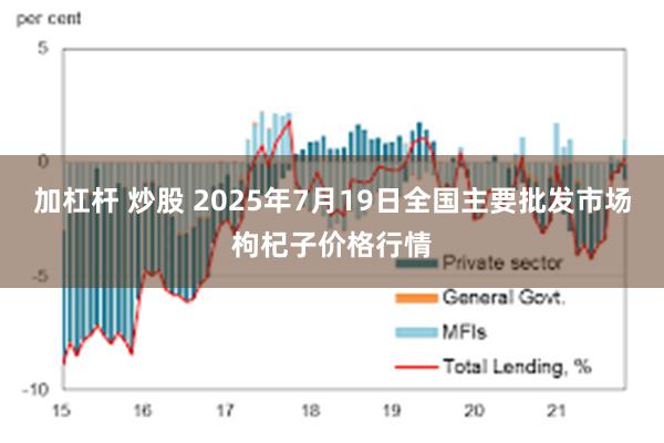 加杠杆 炒股 2025年7月19日全国主要批发市场枸杞子价格行情