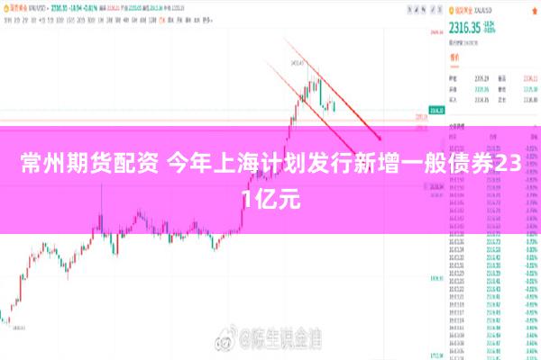 常州期货配资 今年上海计划发行新增一般债券231亿元