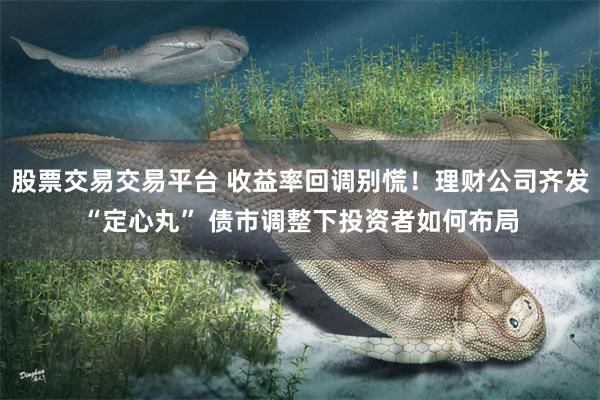 股票交易交易平台 收益率回调别慌！理财公司齐发“定心丸” 债市调整下投资者如何布局