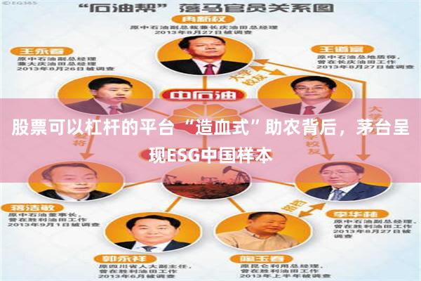 股票可以杠杆的平台 “造血式”助农背后，茅台呈现ESG中国样本