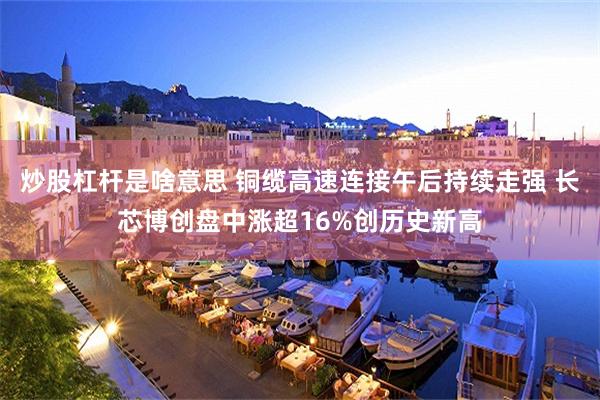 炒股杠杆是啥意思 铜缆高速连接午后持续走强 长芯博创盘中涨超16%创历史新高