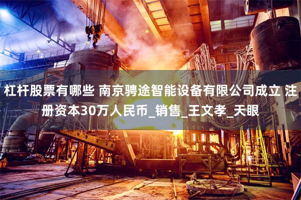 杠杆股票有哪些 南京骋途智能设备有限公司成立 注册资本30万人民币_销售_王文孝_天眼