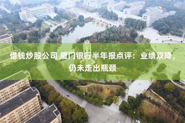 借钱炒股公司 厦门银行半年报点评：业绩双降，仍未走出瓶颈