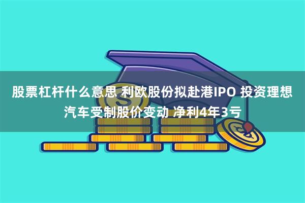 股票杠杆什么意思 利欧股份拟赴港IPO 投资理想汽车受制股价变动 净利4年3亏