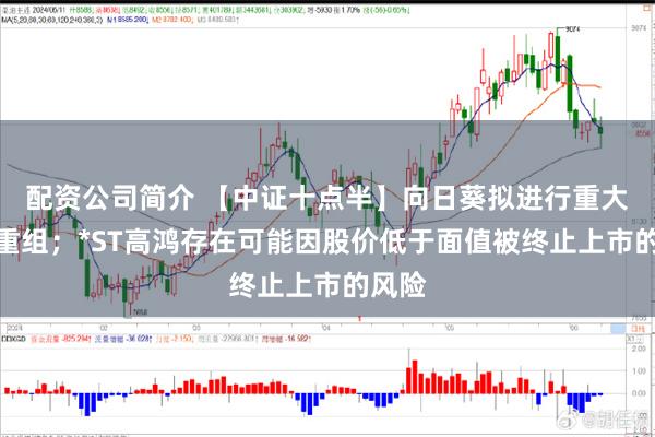 配资公司简介 【中证十点半】向日葵拟进行重大资产重组；*ST高鸿存在可能因股价低于面值被终止上市的风险