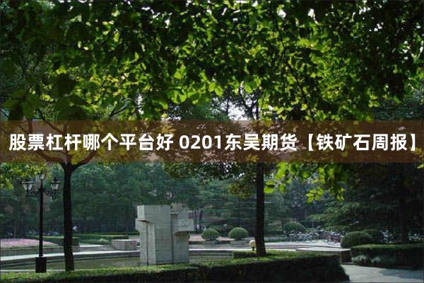 股票杠杆哪个平台好 0201东吴期货【铁矿石周报】