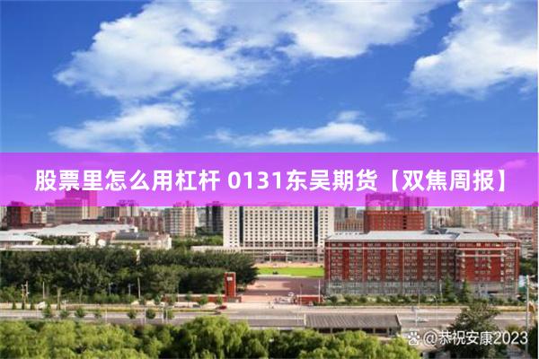 股票里怎么用杠杆 0131东吴期货【双焦周报】