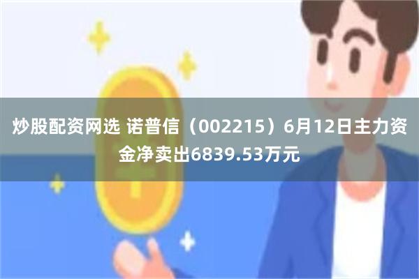 炒股配资网选 诺普信（002215）6月12日主力资金净卖出6839.53万元