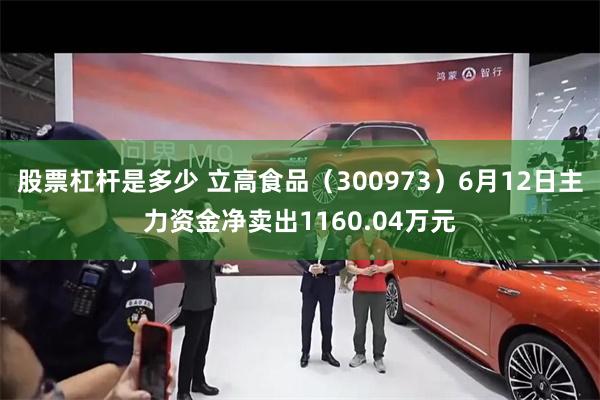 股票杠杆是多少 立高食品（300973）6月12日主力资金净卖出1160.04万元