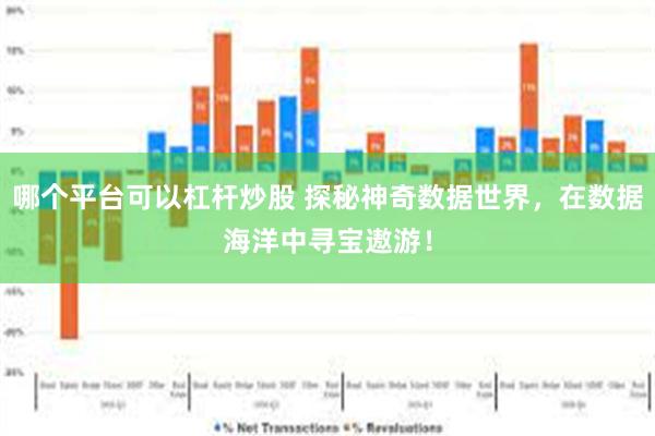 哪个平台可以杠杆炒股 探秘神奇数据世界，在数据海洋中寻宝遨游！