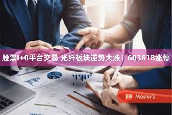股票t+0平台交易 光纤板块逆势大涨！603618涨停