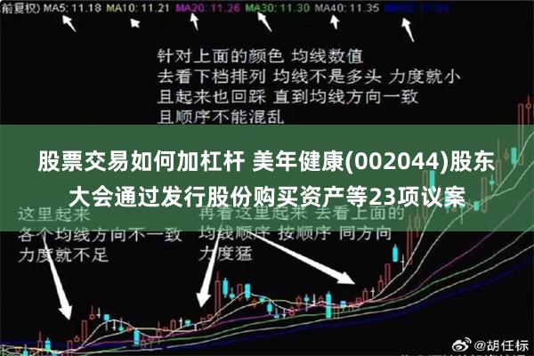 股票交易如何加杠杆 美年健康(002044)股东大会通过发行股份购买资产等23项议案