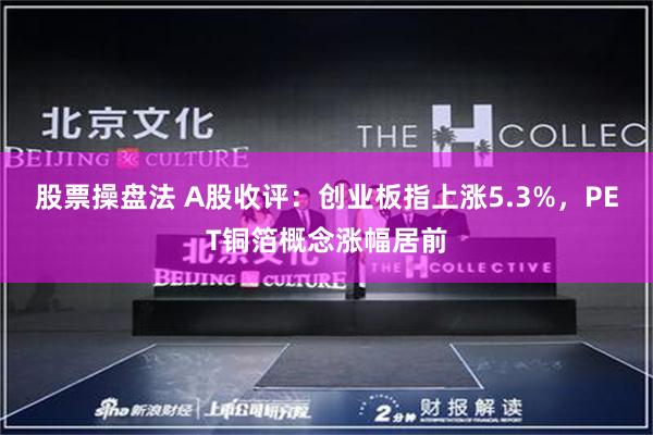 股票操盘法 A股收评：创业板指上涨5.3%，PET铜箔概念涨幅居前