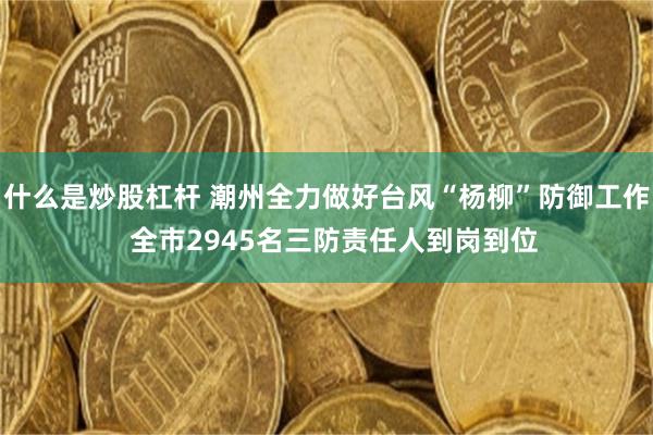 什么是炒股杠杆 潮州全力做好台风“杨柳”防御工作  全市2945名三防责任人到岗到位