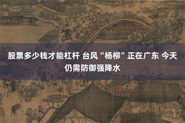 股票多少钱才能杠杆 台风“杨柳”正在广东 今天仍需防御强降水